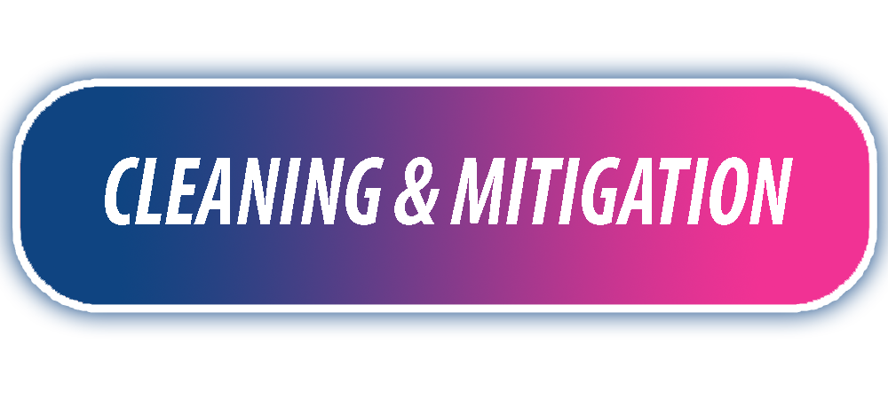 cleaning & mitigation page link